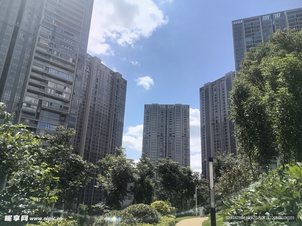 城市中的綠植與高樓景觀