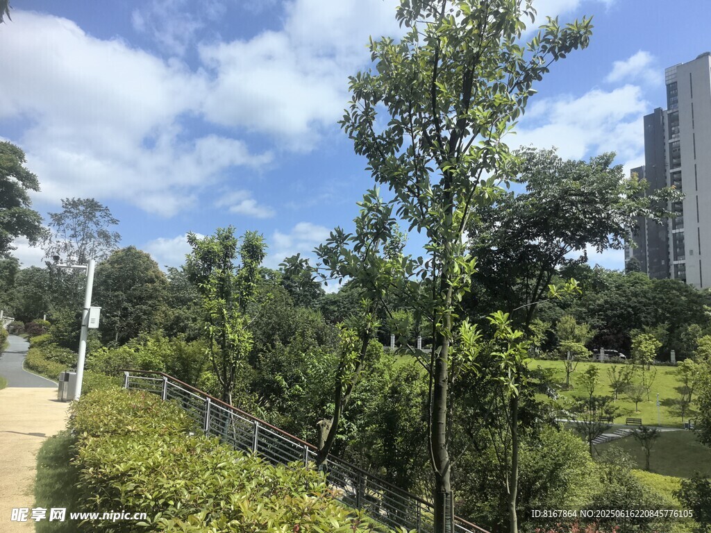 城市中的綠意盎然景觀