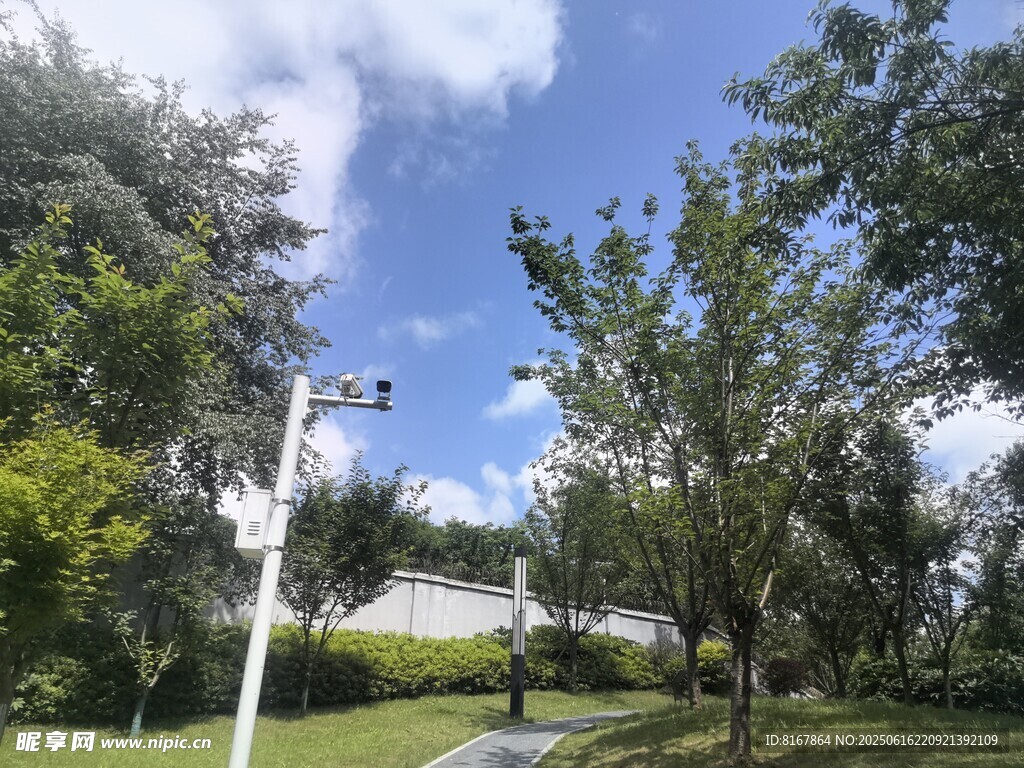 戶外綠樹藍天風景圖