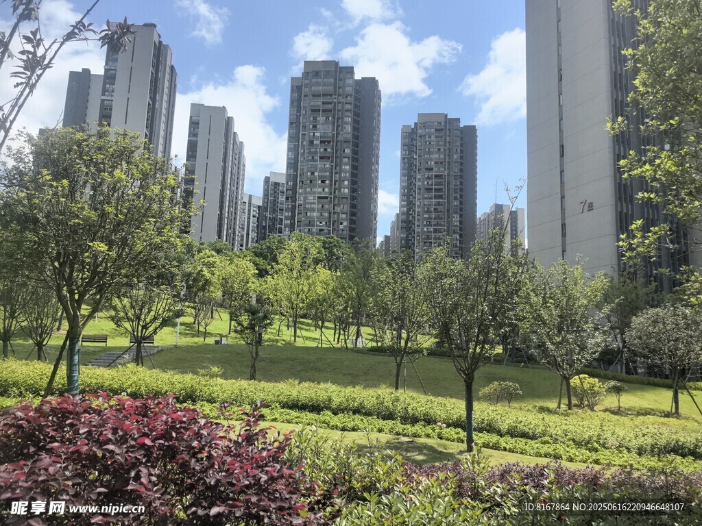 城市公園中的綠植與高樓
