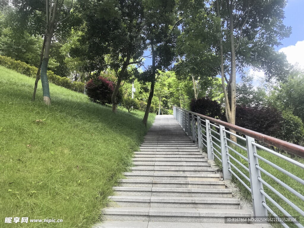 綠意盎然處