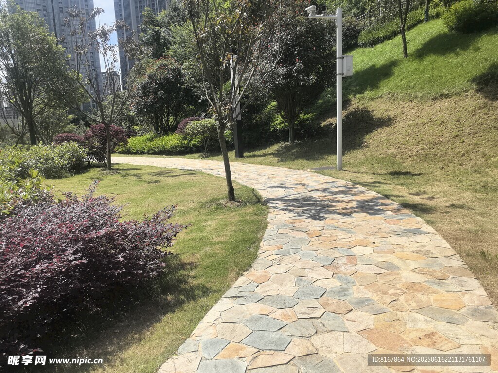 蜿蜒石徑旁的綠植景觀