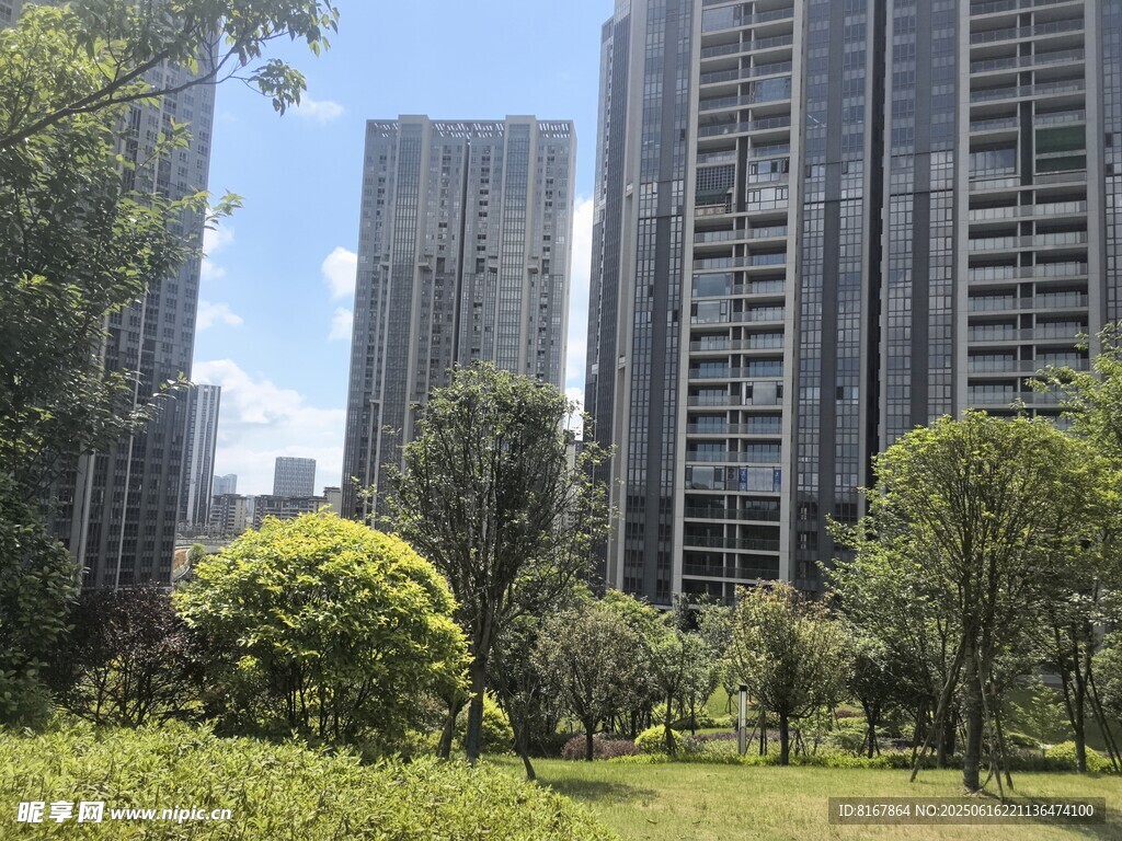 城市綠地旁的高樓景觀