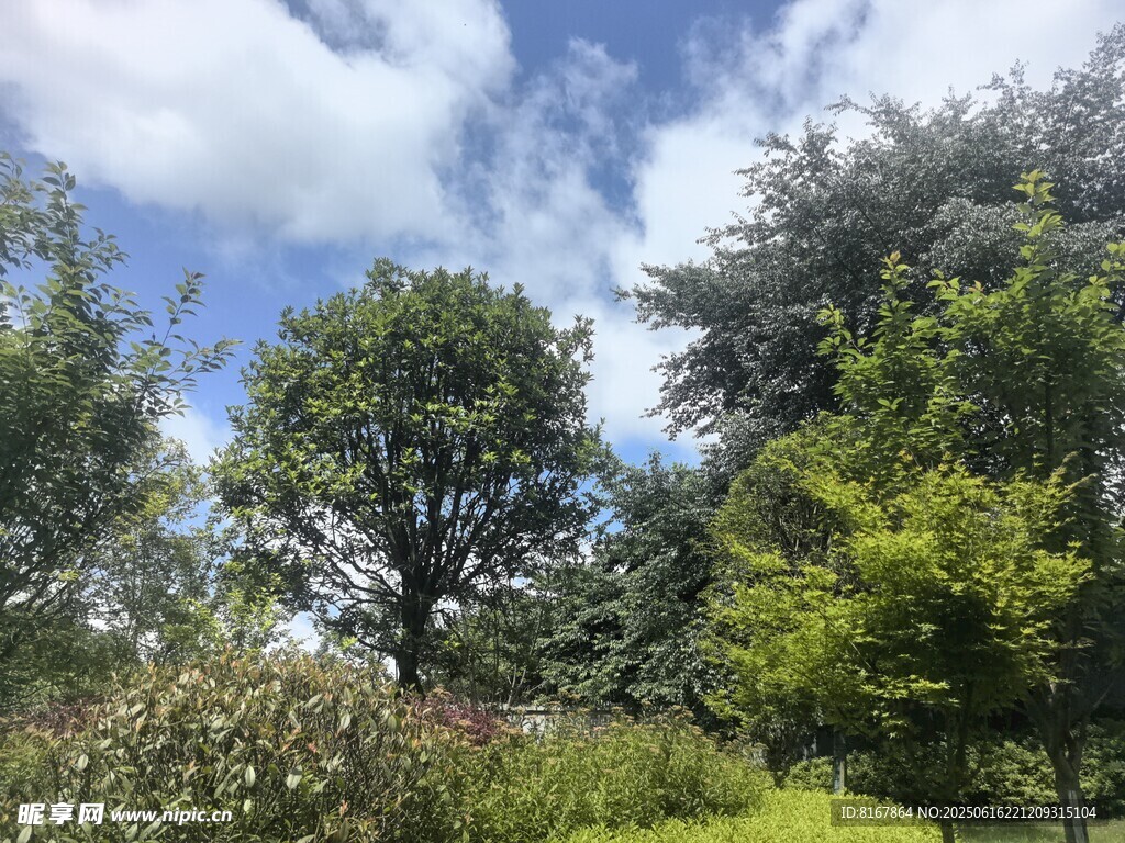 戶外綠意盎然的自然景致