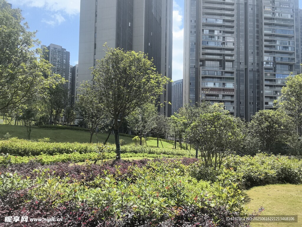 城市中的綠植景觀