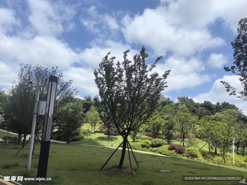 綠意盎然的戶外公園景致