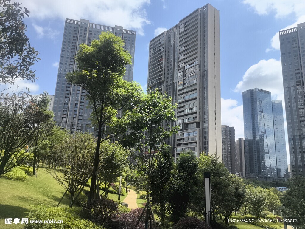 城市公園與高樓景觀