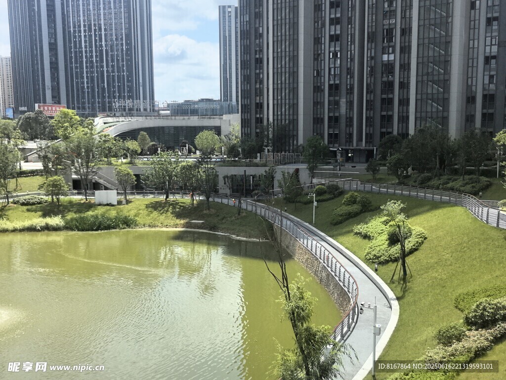 城市中的靜謐湖畔景觀