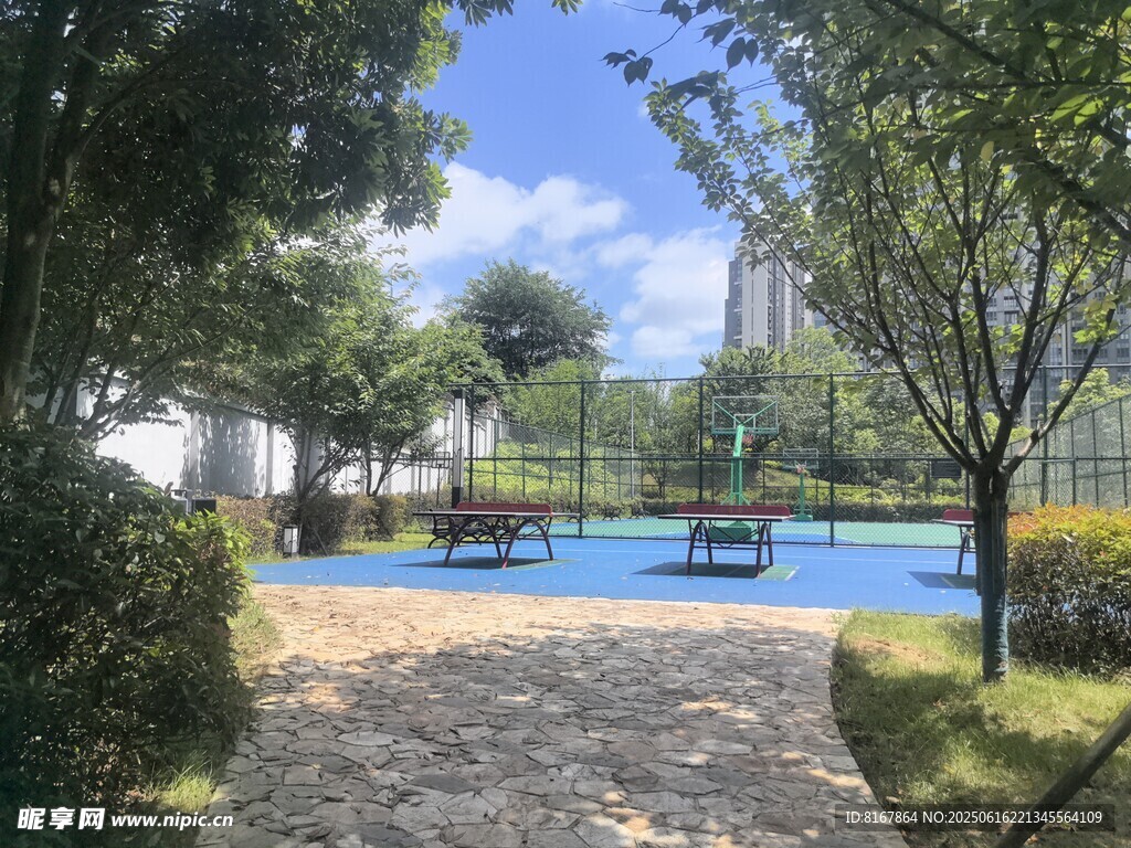 小區內的靜謐泳池景觀