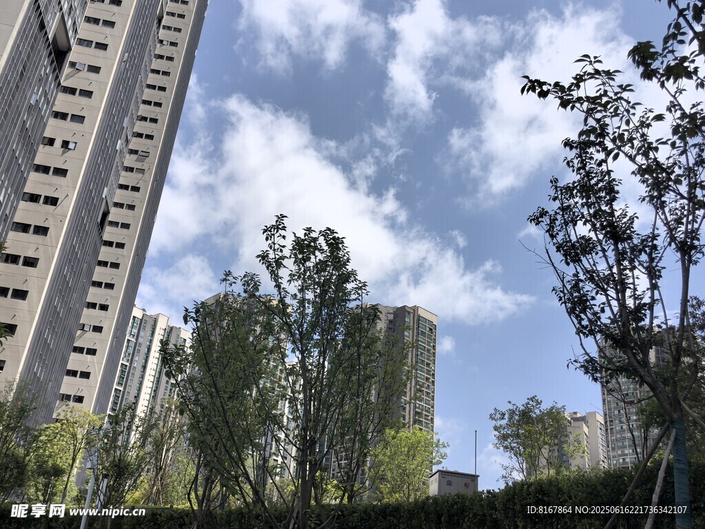 城市高樓與綠樹藍(lán)天白云