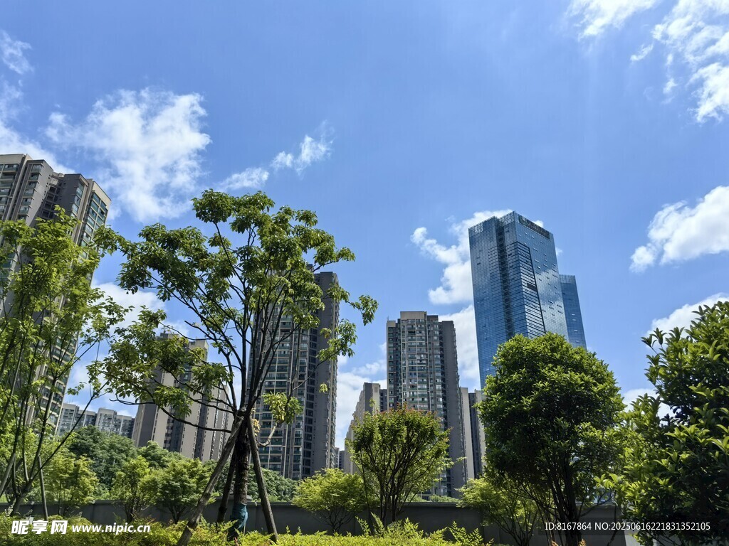 城市綠樹與高樓景觀