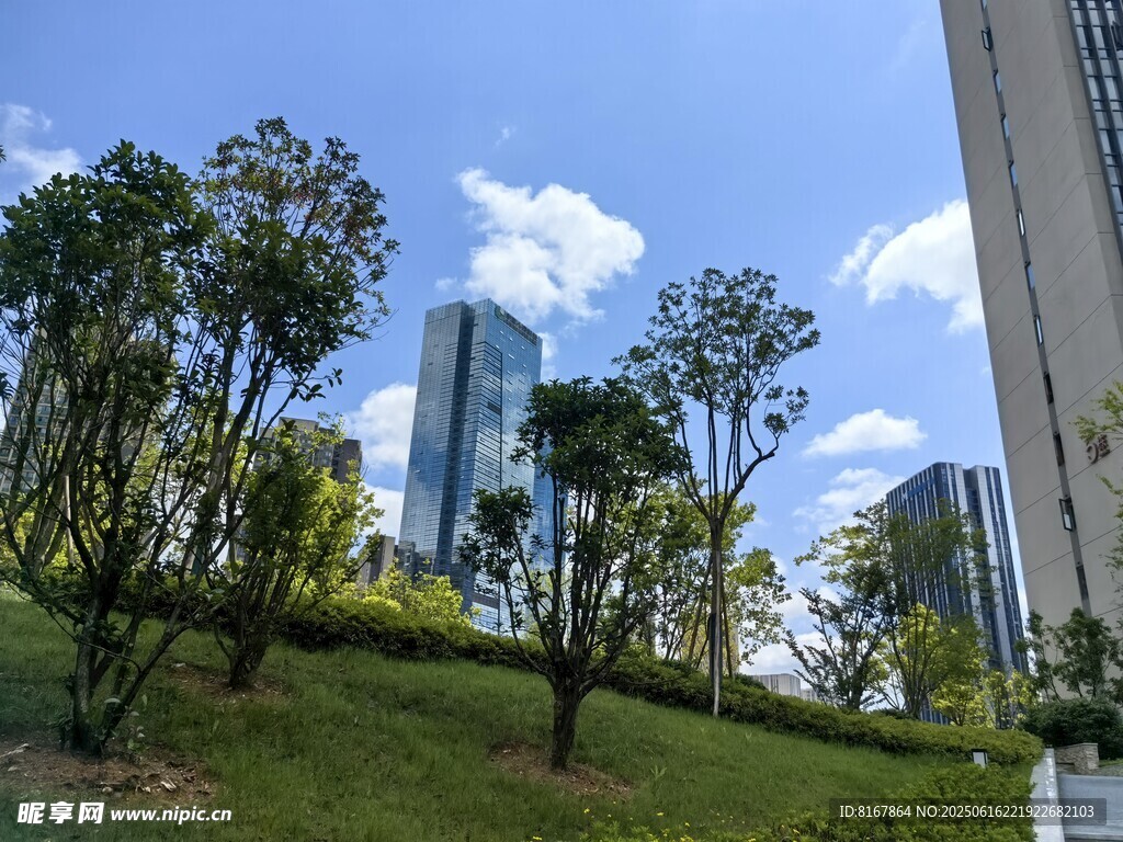 城市中的綠意景觀