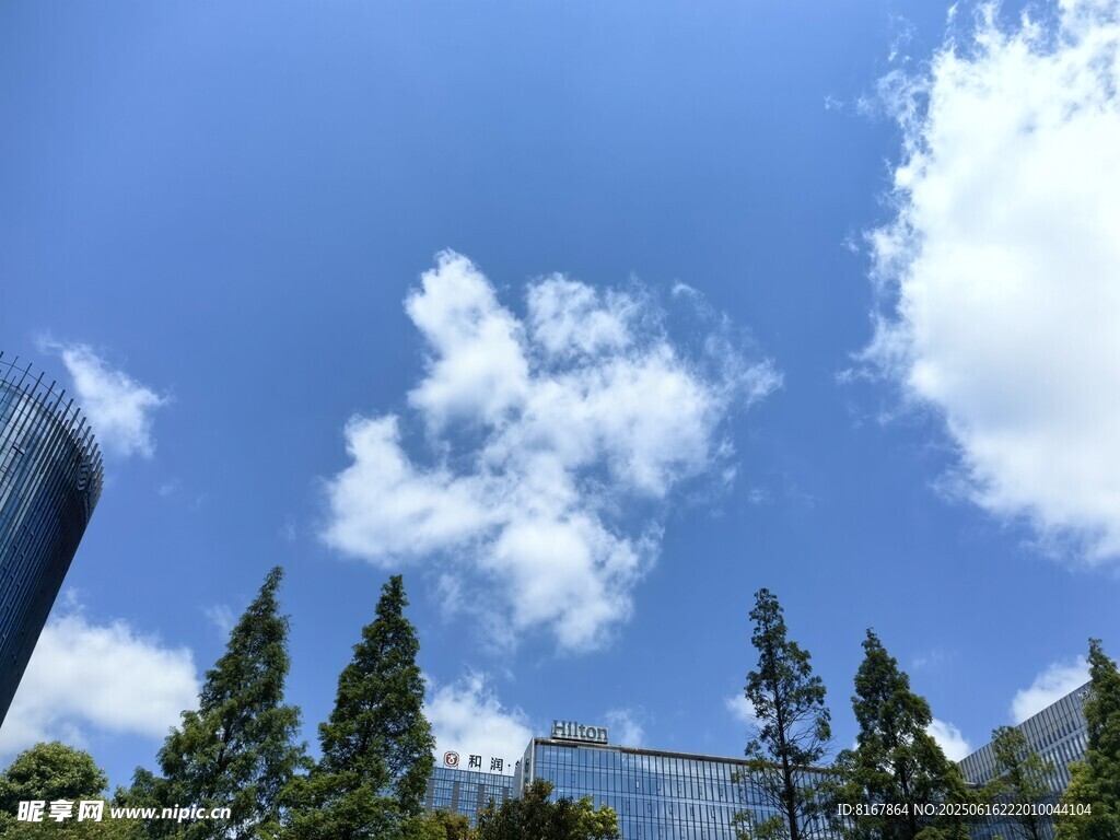 藍天綠樹間的清新景致