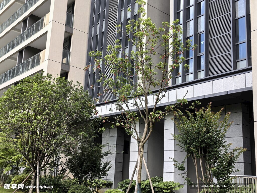 現代建筑旁的綠植景觀