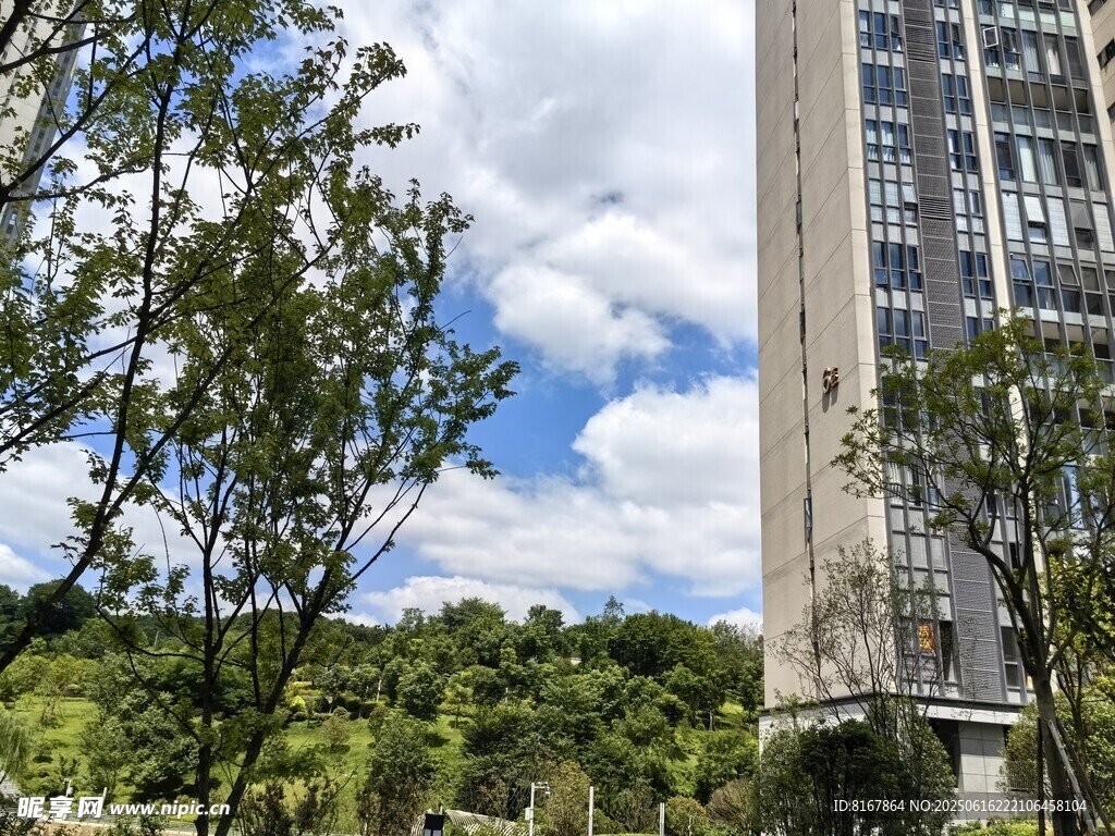 綠樹環繞的高層住宅