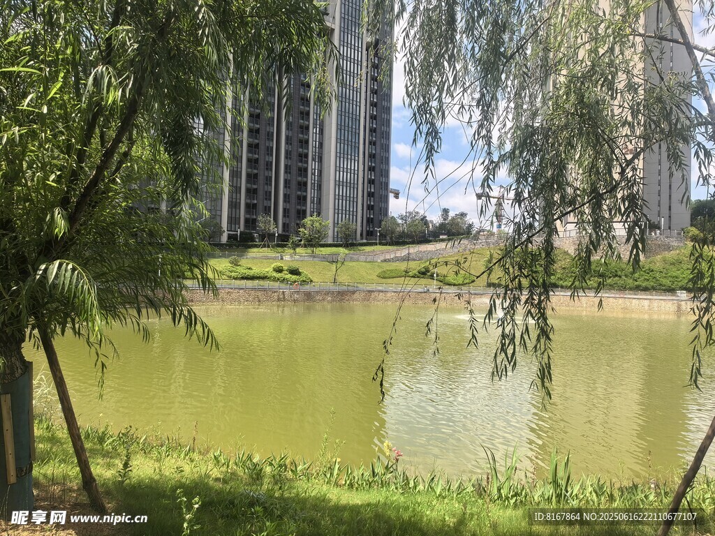 湖畔綠樹環繞的城市景致