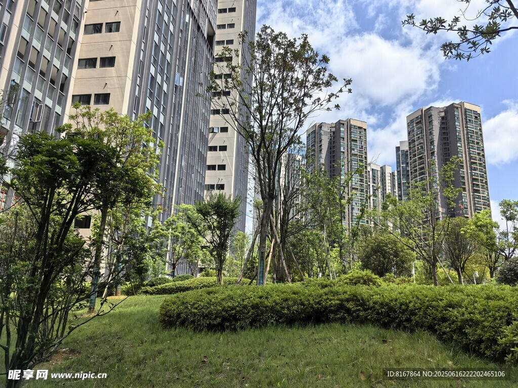 城市中的綠意盎然景觀