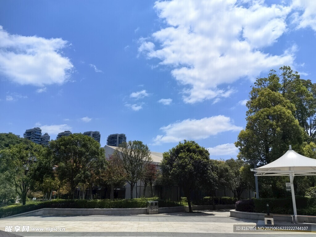 戶外開闊綠地與藍天白云