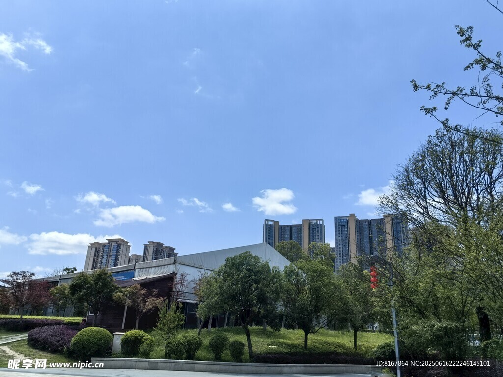城市中的綠意與高樓景觀