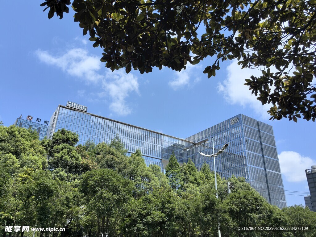 綠樹掩映下的現代建筑