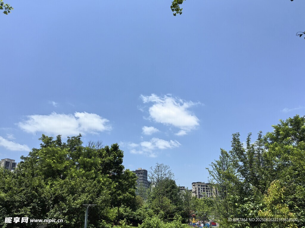 藍天綠樹風景圖