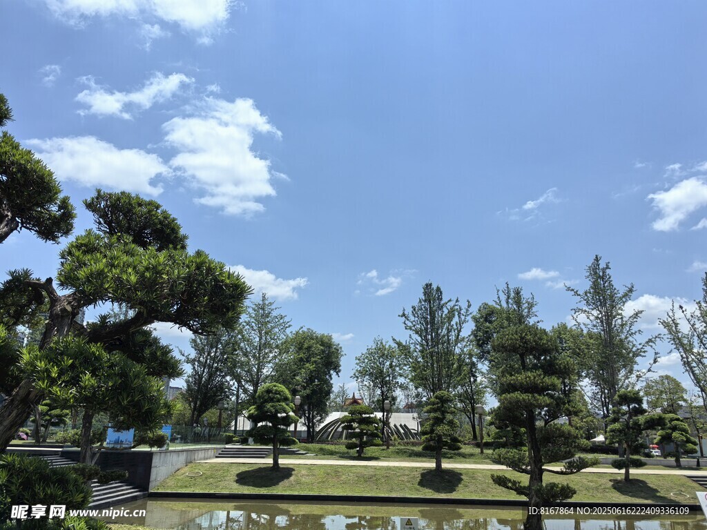 園林景觀中的精致綠植