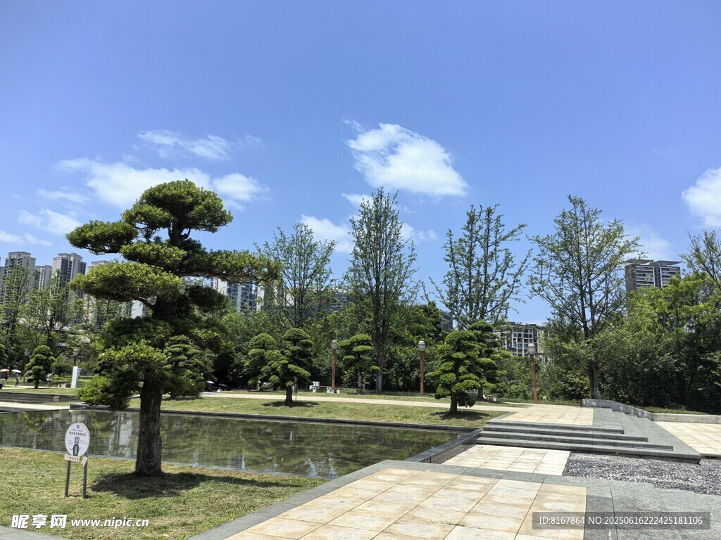 園林景觀中的精致造型樹木