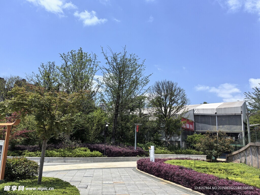 美麗校園景觀