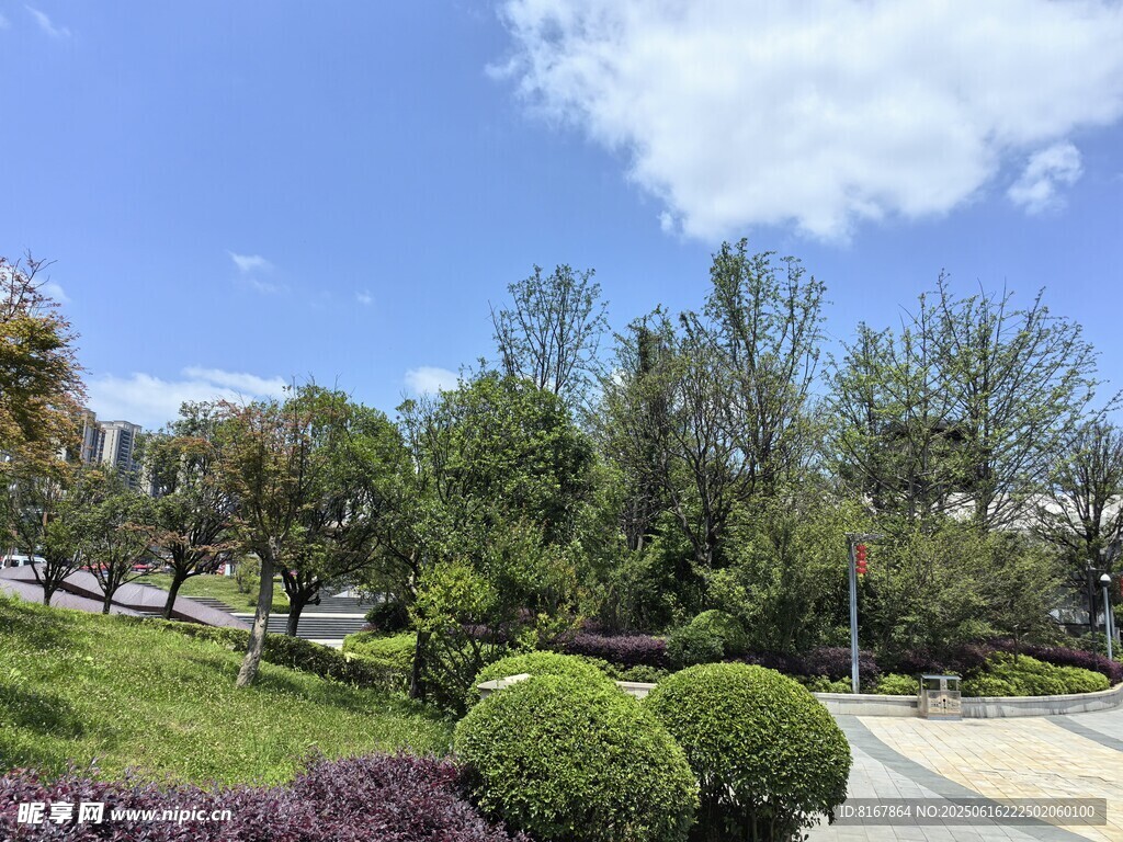 城市美麗綠化帶景觀
