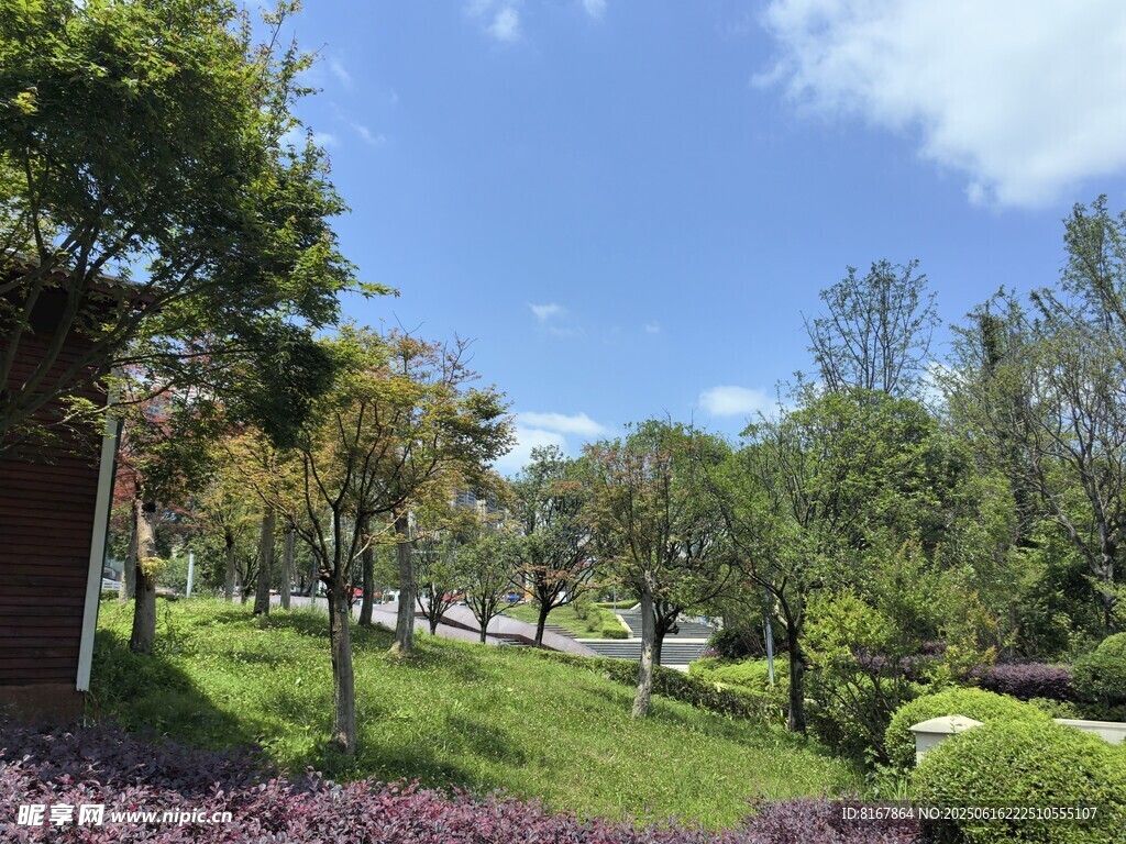 城市中的美麗綠化景觀