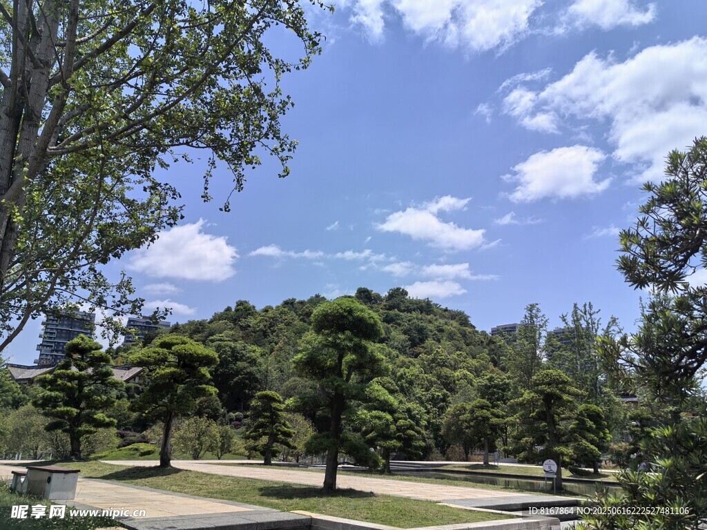 公園綠樹藍天美景