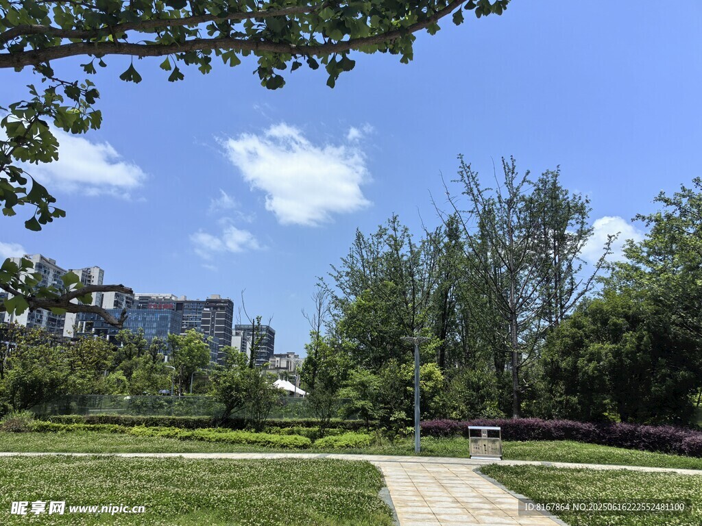 城市中的靜謐林蔭小道