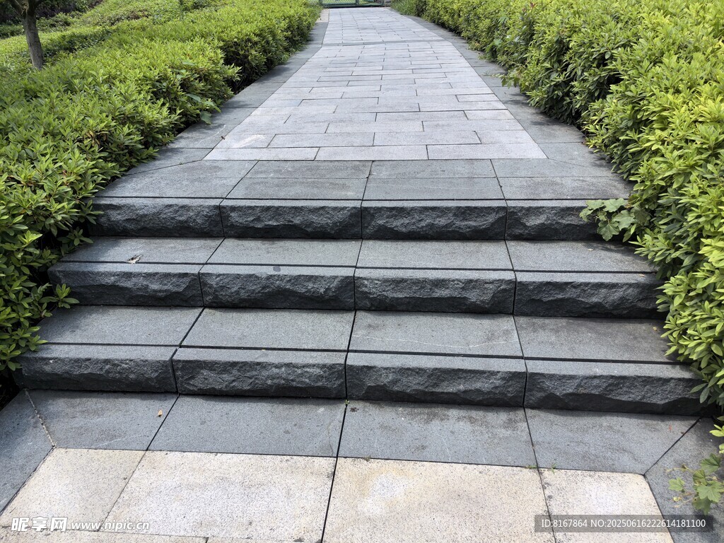 石板步道與綠植相伴