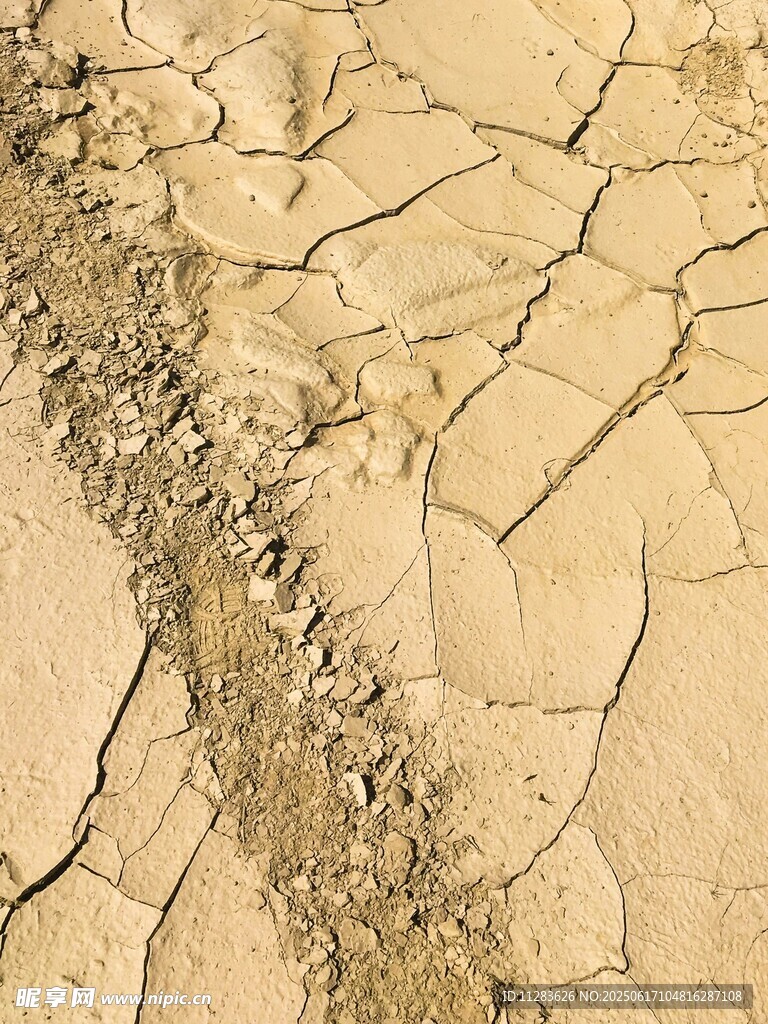 干裂土地上的痕跡
