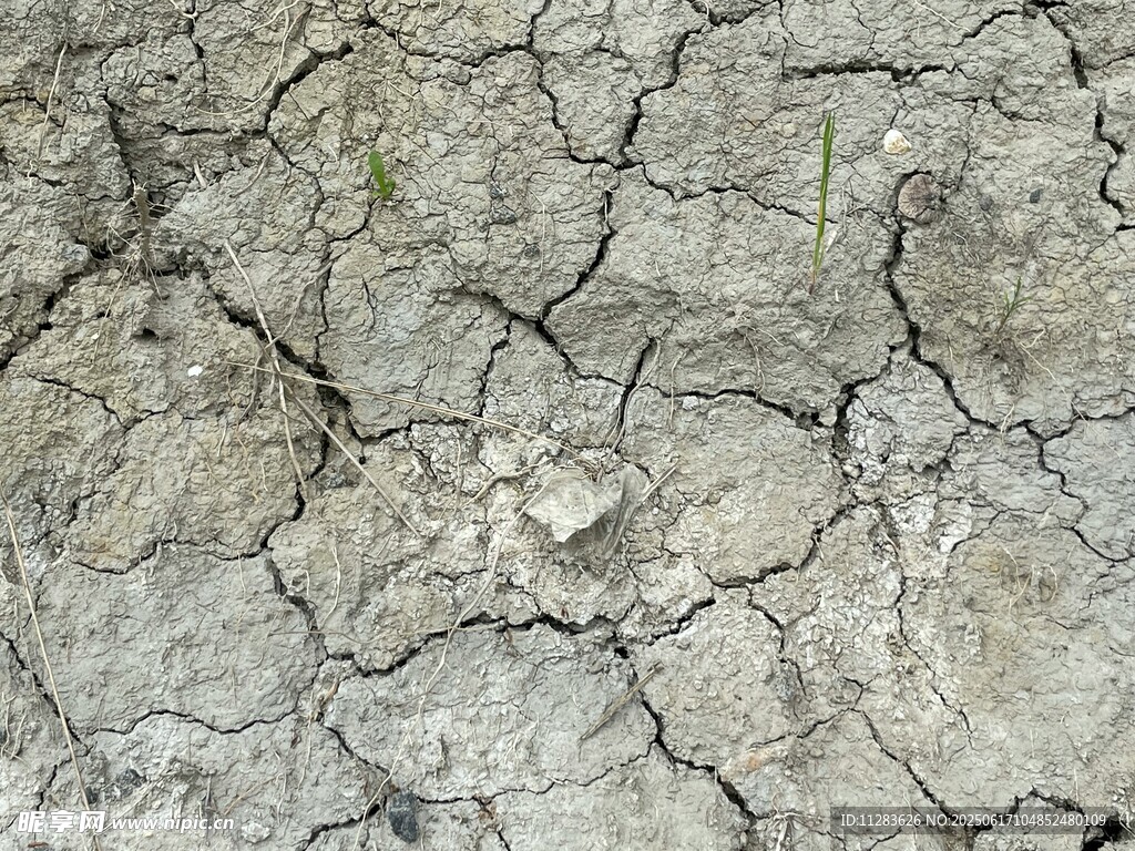 干裂的土地