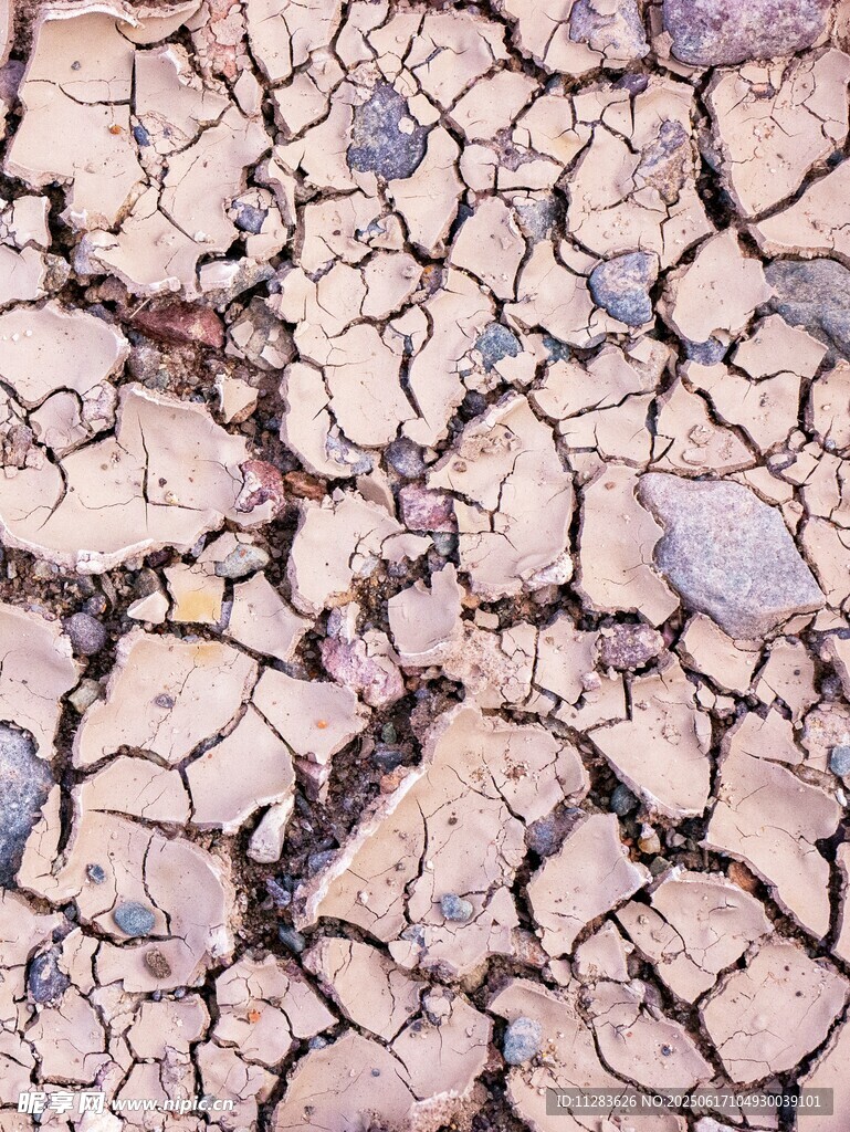 干裂土地紋理特寫