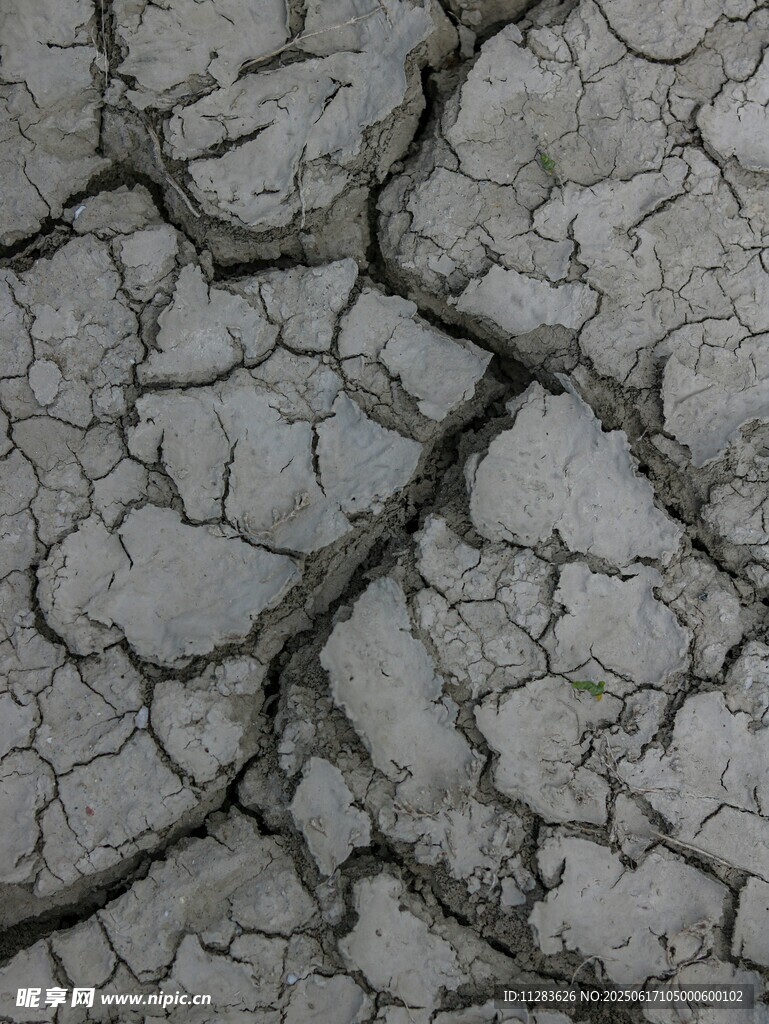 干裂的土地
