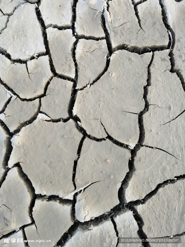 干裂的土地