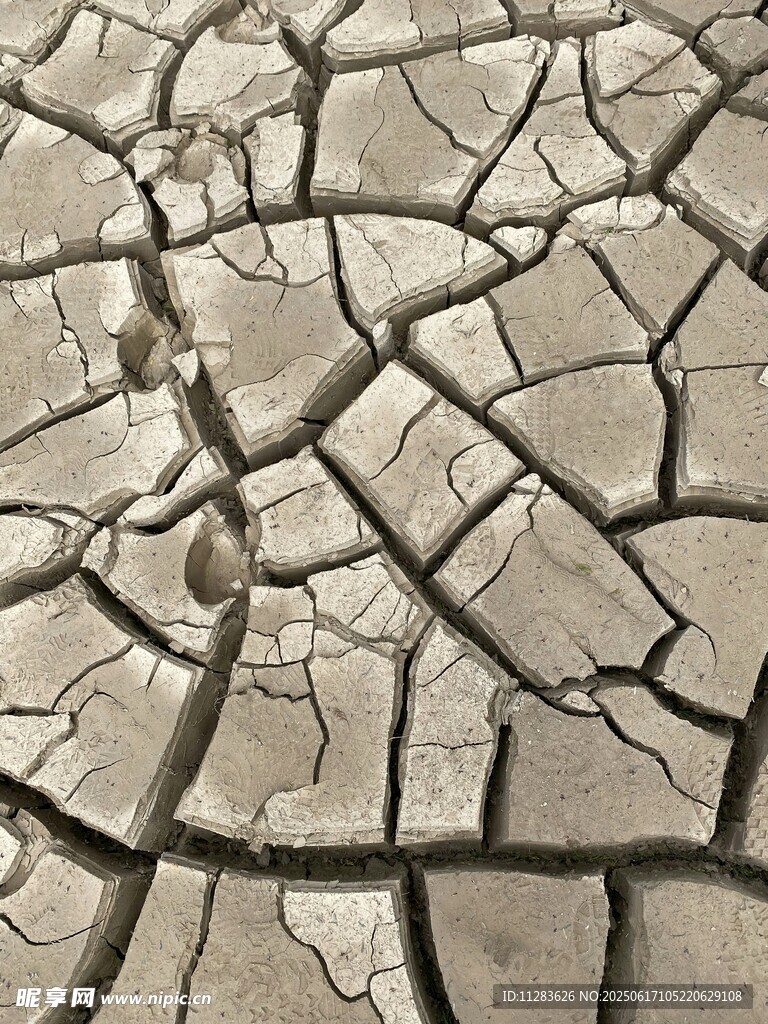 干裂土地紋理特寫