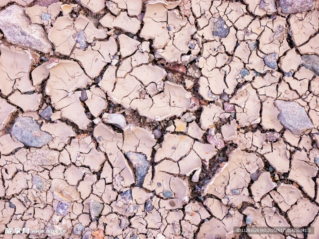 干裂土地紋理特寫