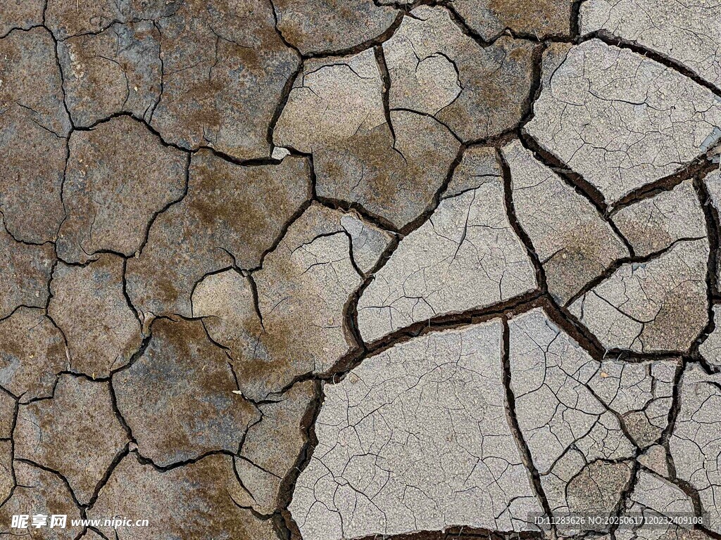干裂土地紋理特寫