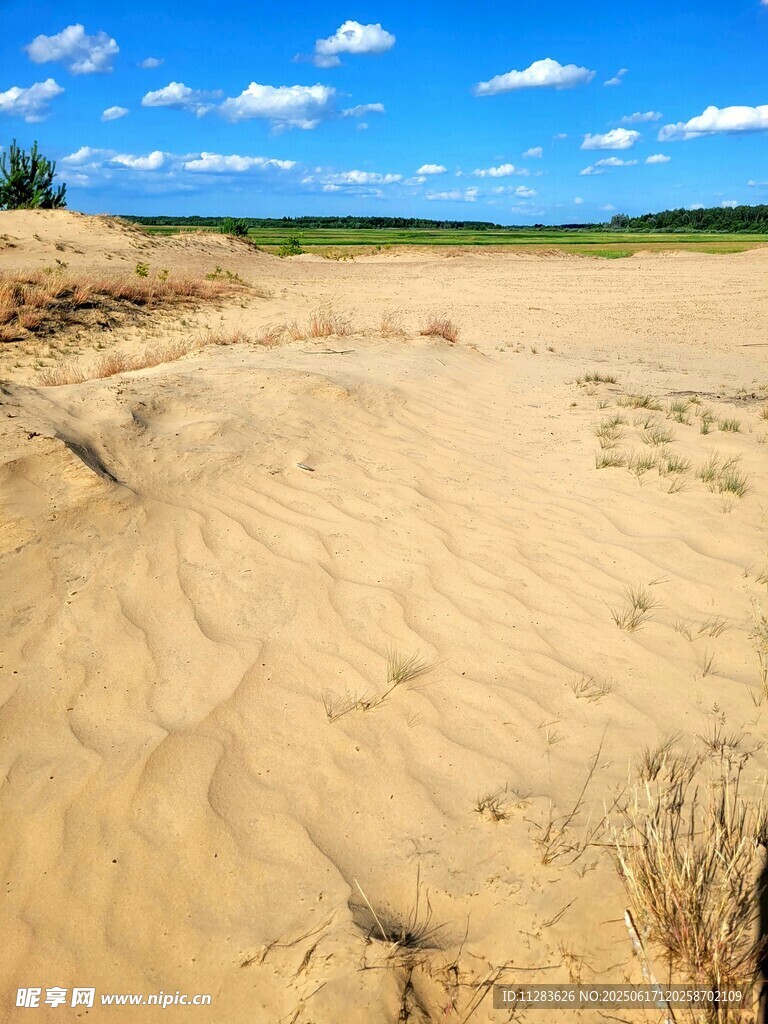 廣袤沙地與藍天景觀