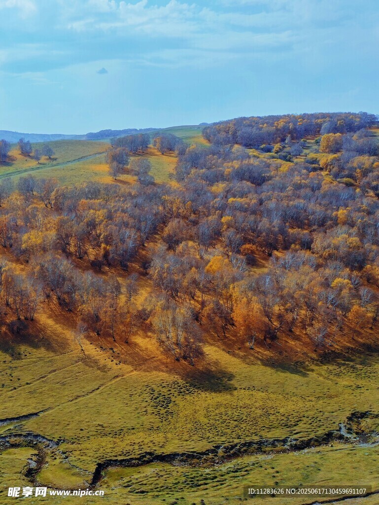 秋日山林俯瞰美景
