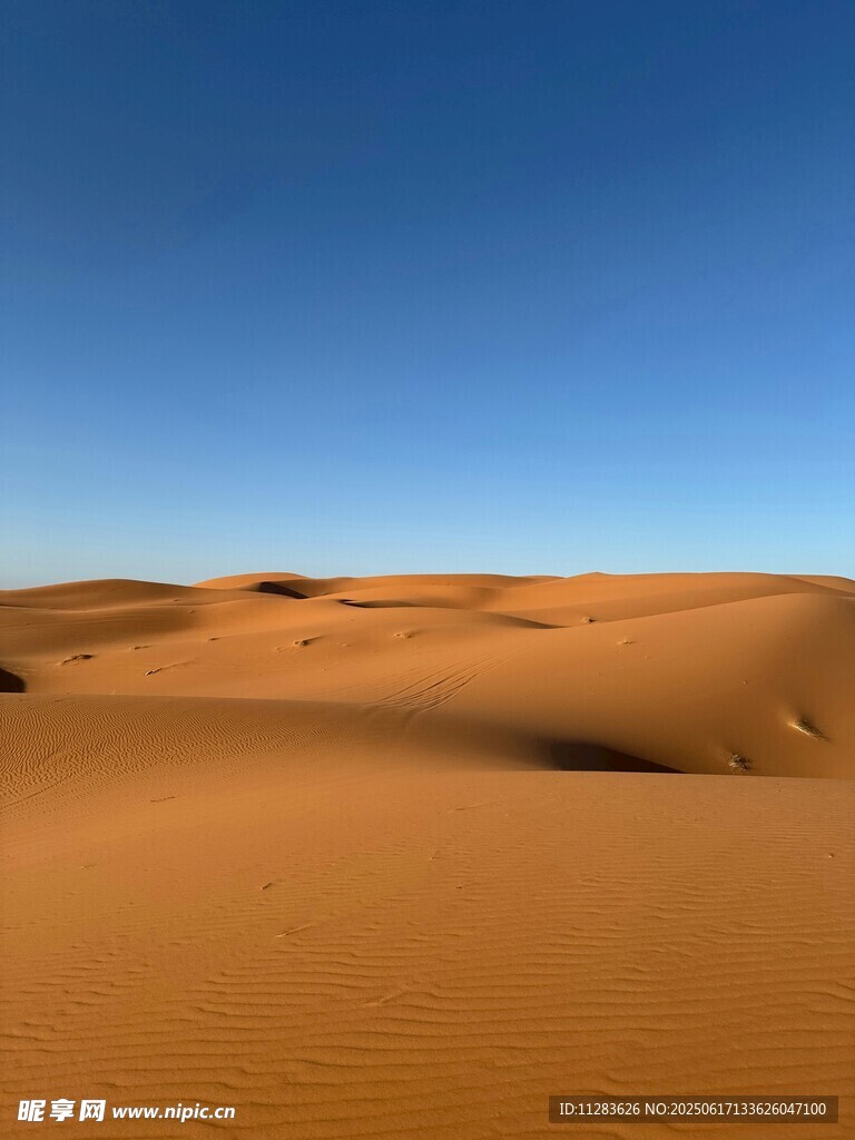 廣袤沙漠