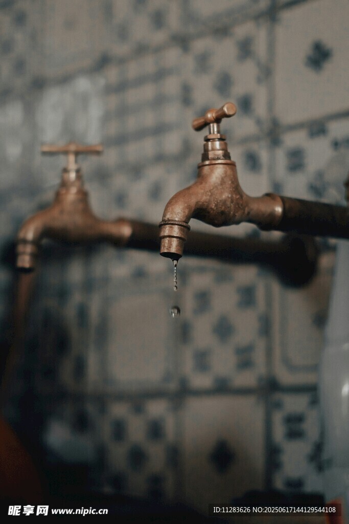 復古雙水龍頭特寫