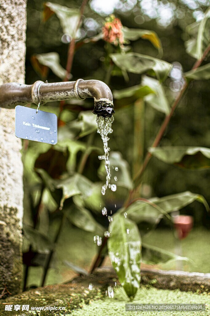 戶外水龍頭流水綠植相伴