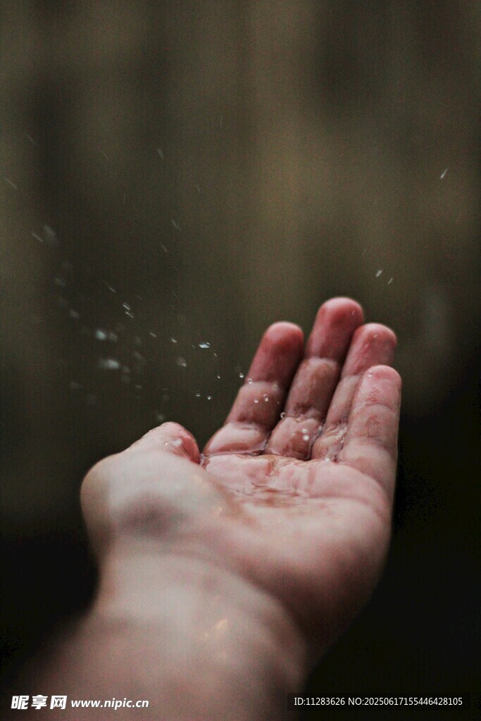 掌心落雨