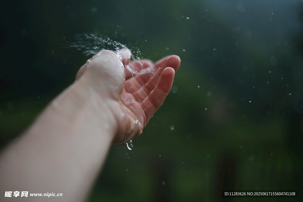 掌心接雨