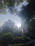 陽光灑落林間的建筑景觀