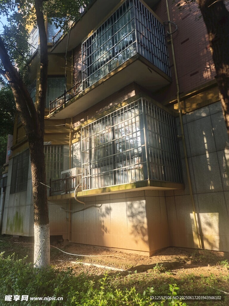老舊房屋隱于樹木間